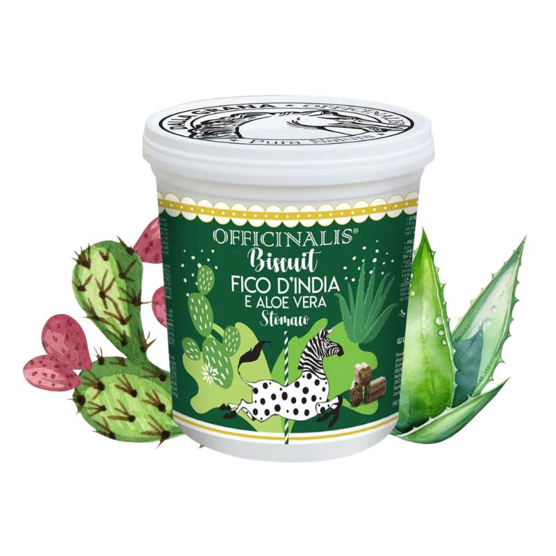 Biscuit stomaco fico d'india e aloe vera
