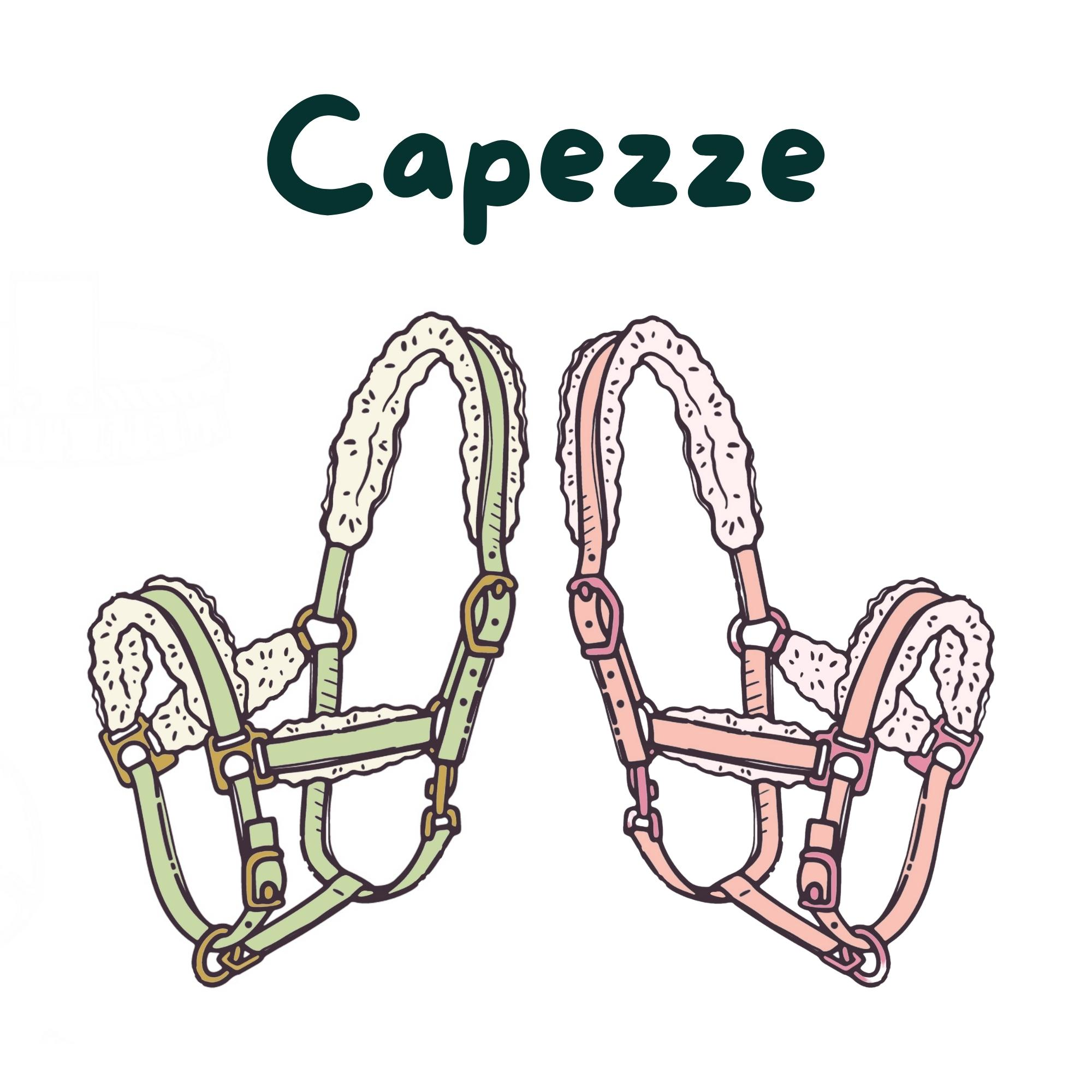 Capezze