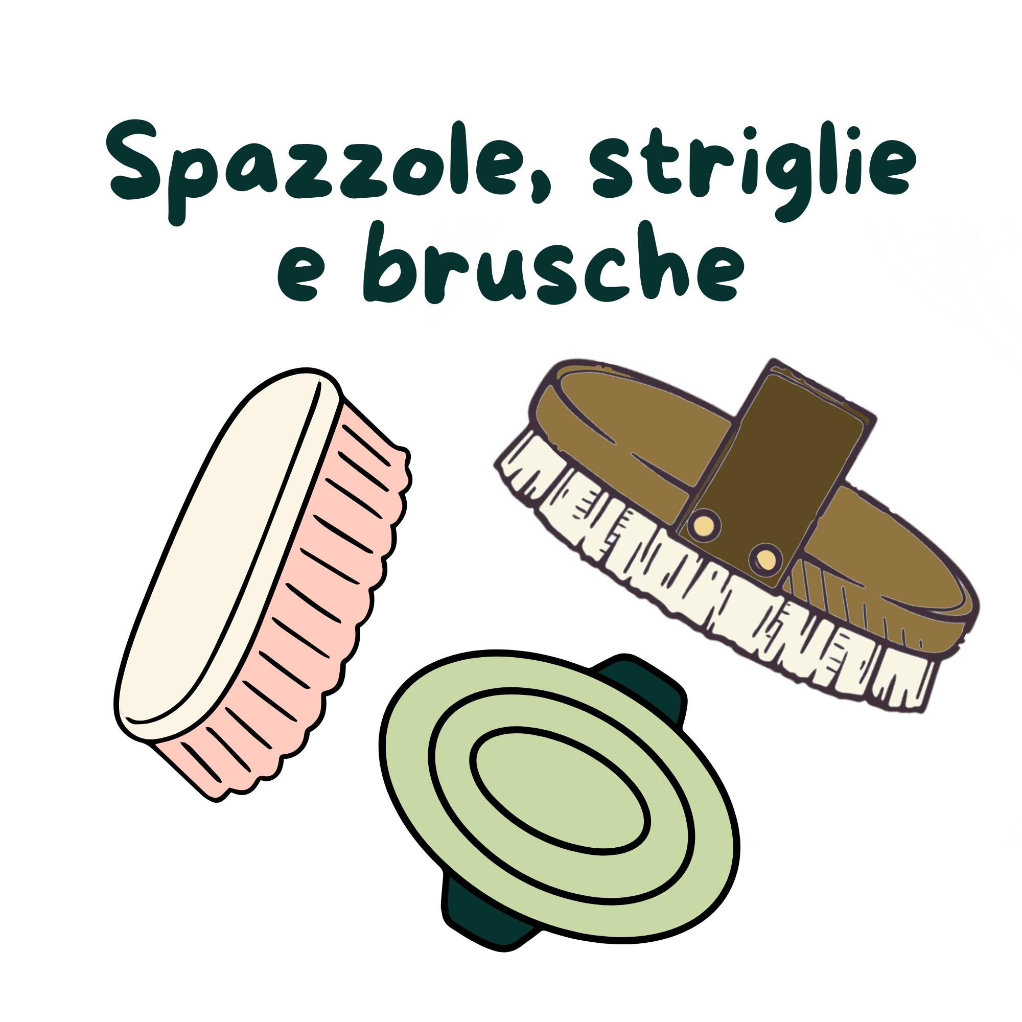 Spazzole, striglie e brusche
