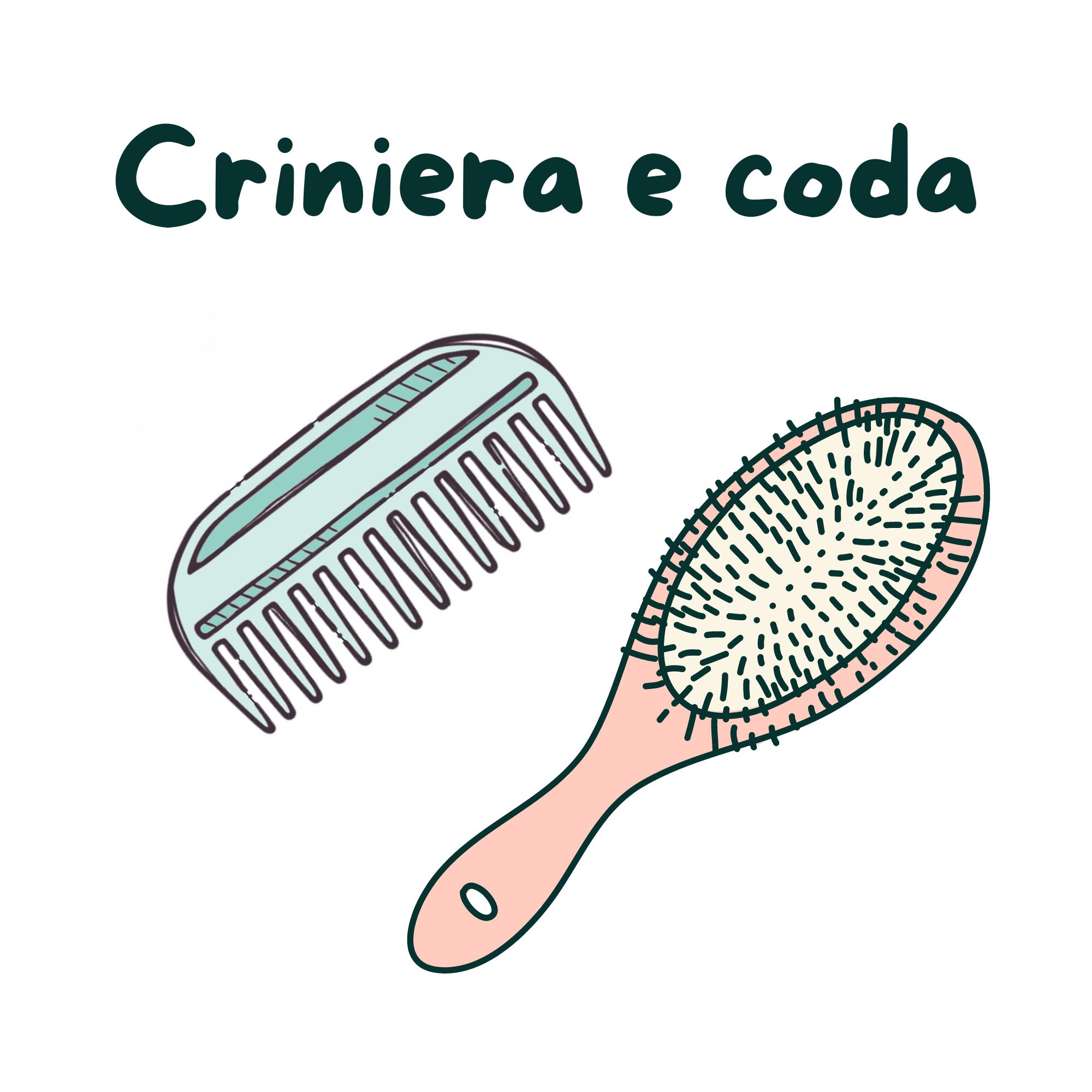 Criniera e coda