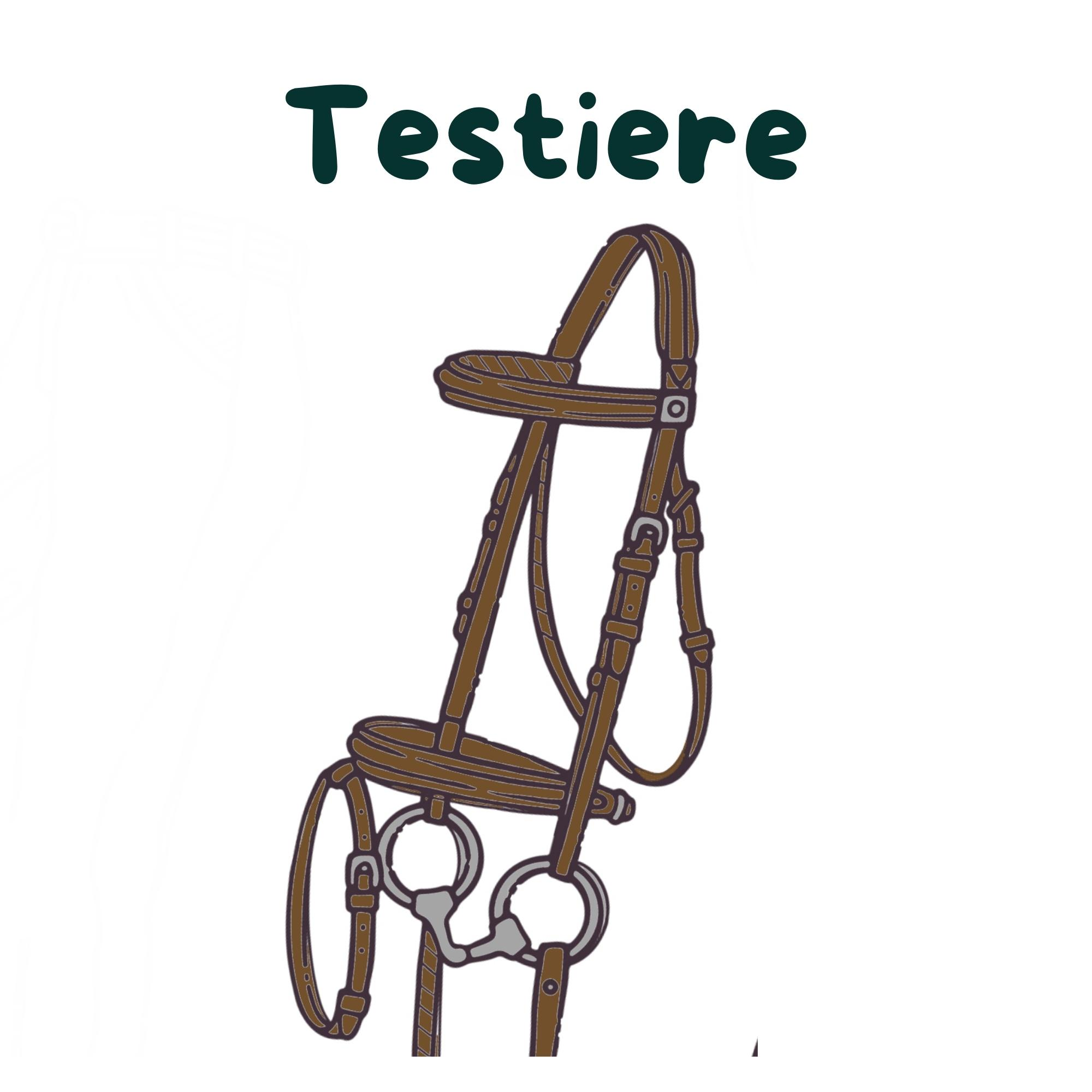 Testiere