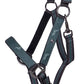 Set capezza e lunghina Emerald