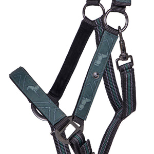 Set capezza e lunghina Emerald