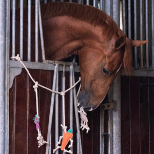 Gioco per cavallo