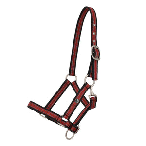 Capezza puledro Collection