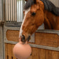 Gioco palla con maniglia