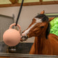 Gioco palla con maniglia