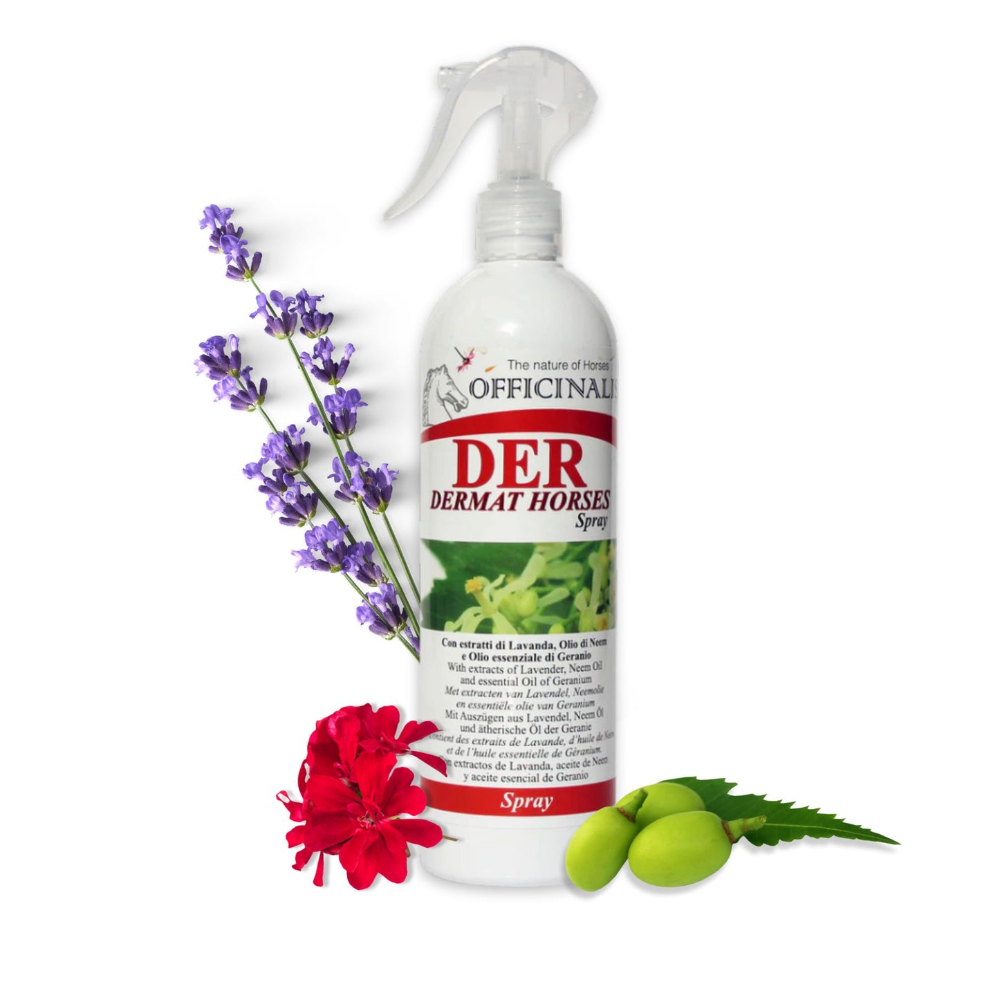 Spray per dermatite Dermat Horses