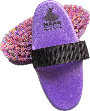 Brusca multicolor