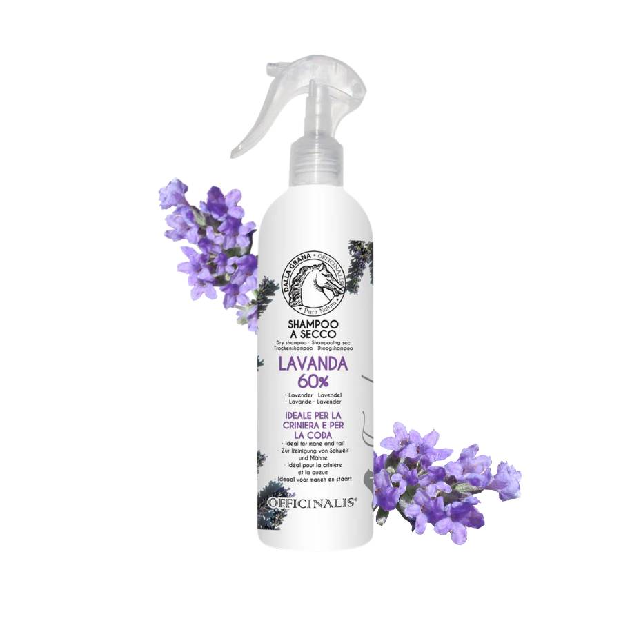Shampoo secco alla lavanda