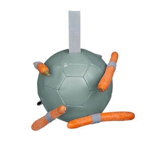 Gioco palla con carote