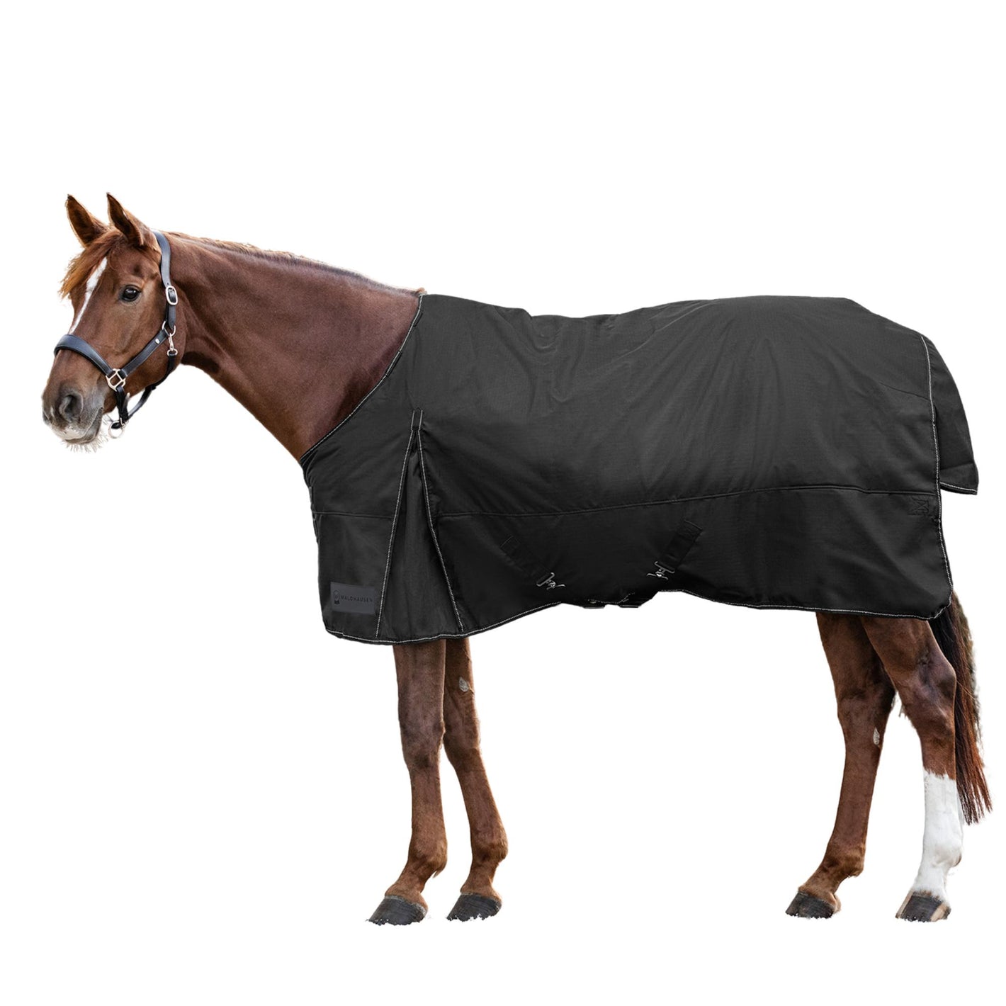 Coperta da paddock Nordic, 100g
