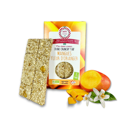 Tavolette Mango e Fiori di Arancio