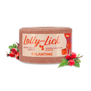 Blocchetto di sale rosa canina