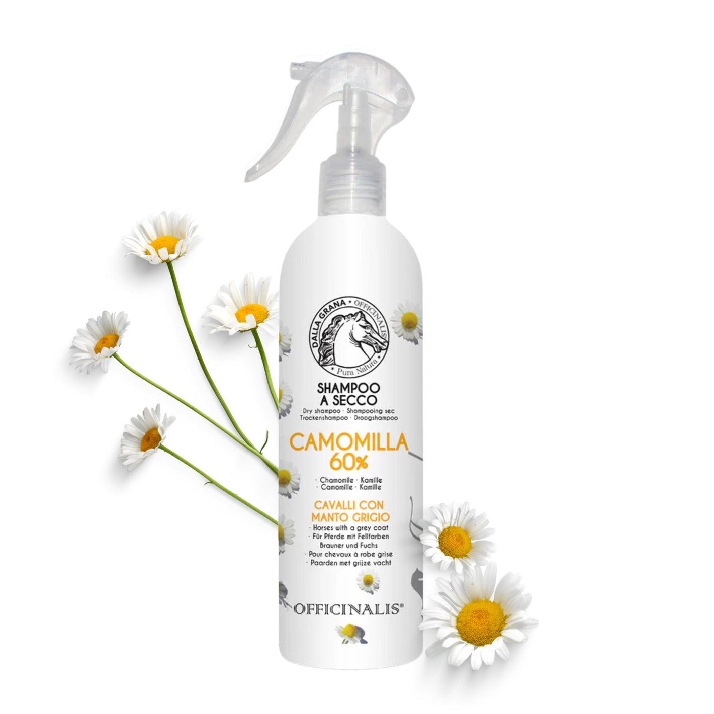 Shampoo secco alla camomilla per manti chiari