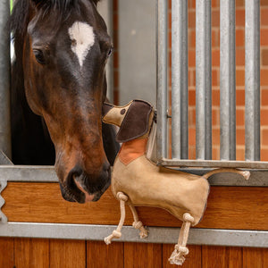 Gioco per cavalli bassotto