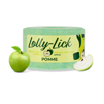 Blocchetto di sale mela