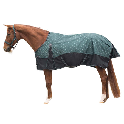 Coperta da paddock 150g
