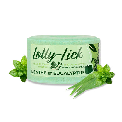 Blocchetto di sale menta & eucalipto