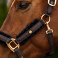 Set capezza e lunghina Phoenix - marrone