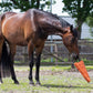 Gioco per cavallo carota XL