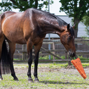 Gioco per cavallo carota XL