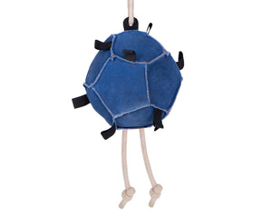 Gioco per cavallo palla carote