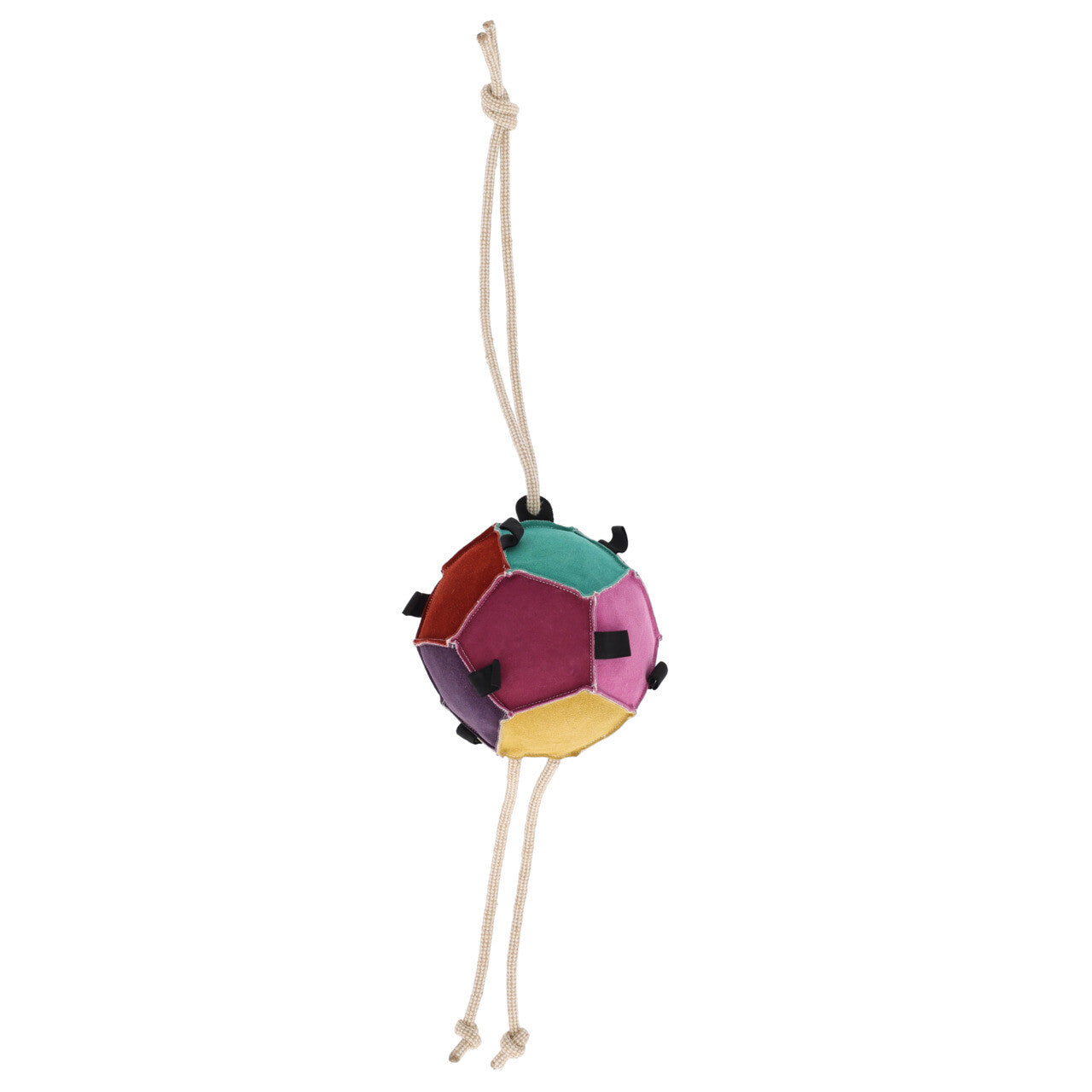 Gioco per cavallo palla carote