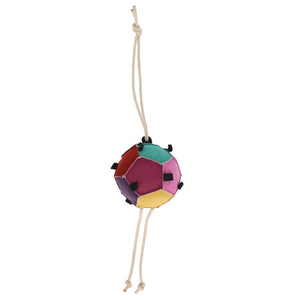 Gioco per cavallo palla carote