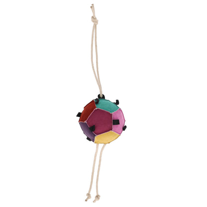 Gioco per cavallo palla carote
