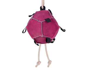 Gioco per cavallo palla carote