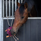 Gioco per cavallo palla carote