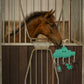 Gioco per cavallo nuvola