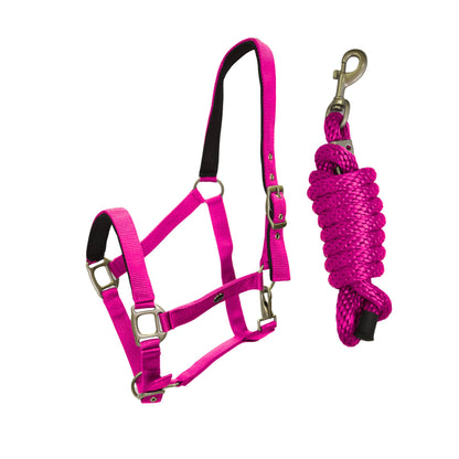 Set capezza e lunghina fucsia