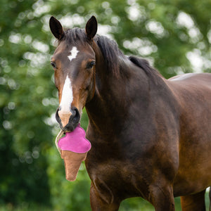 Gioco per cavallo gelato