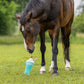Gioco per cavallo Milkshake