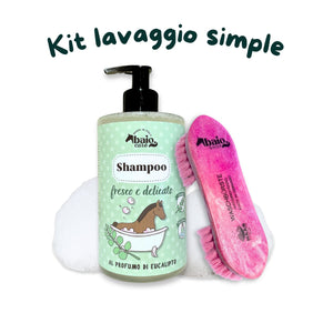 Kit lavaggio simple