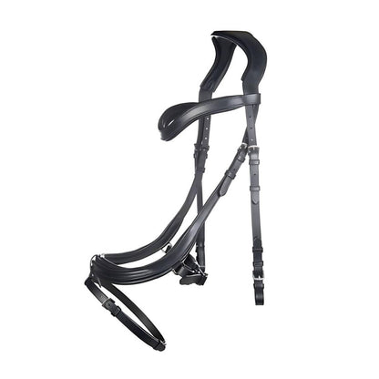 Testiera Anatomic