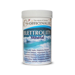 Elettroliti Mineral 1kg