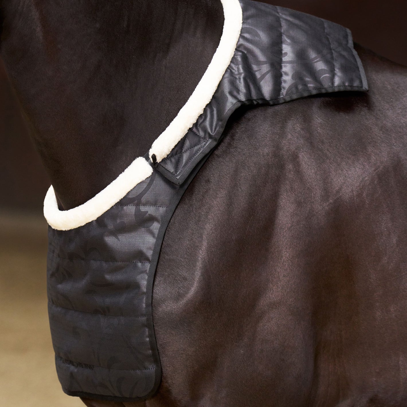 Protezione petto e garrese per coperte