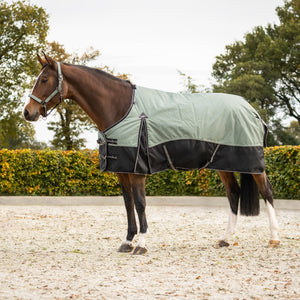 Coperta da paddock 150g