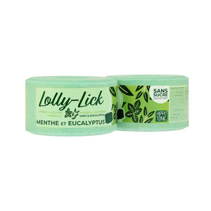 Blocchetto di sale menta & eucalipto