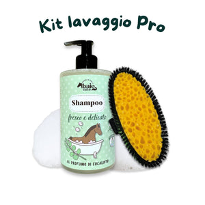 Kit lavaggio Pro