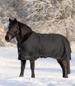 Coperta da paddock Nordic, 100g