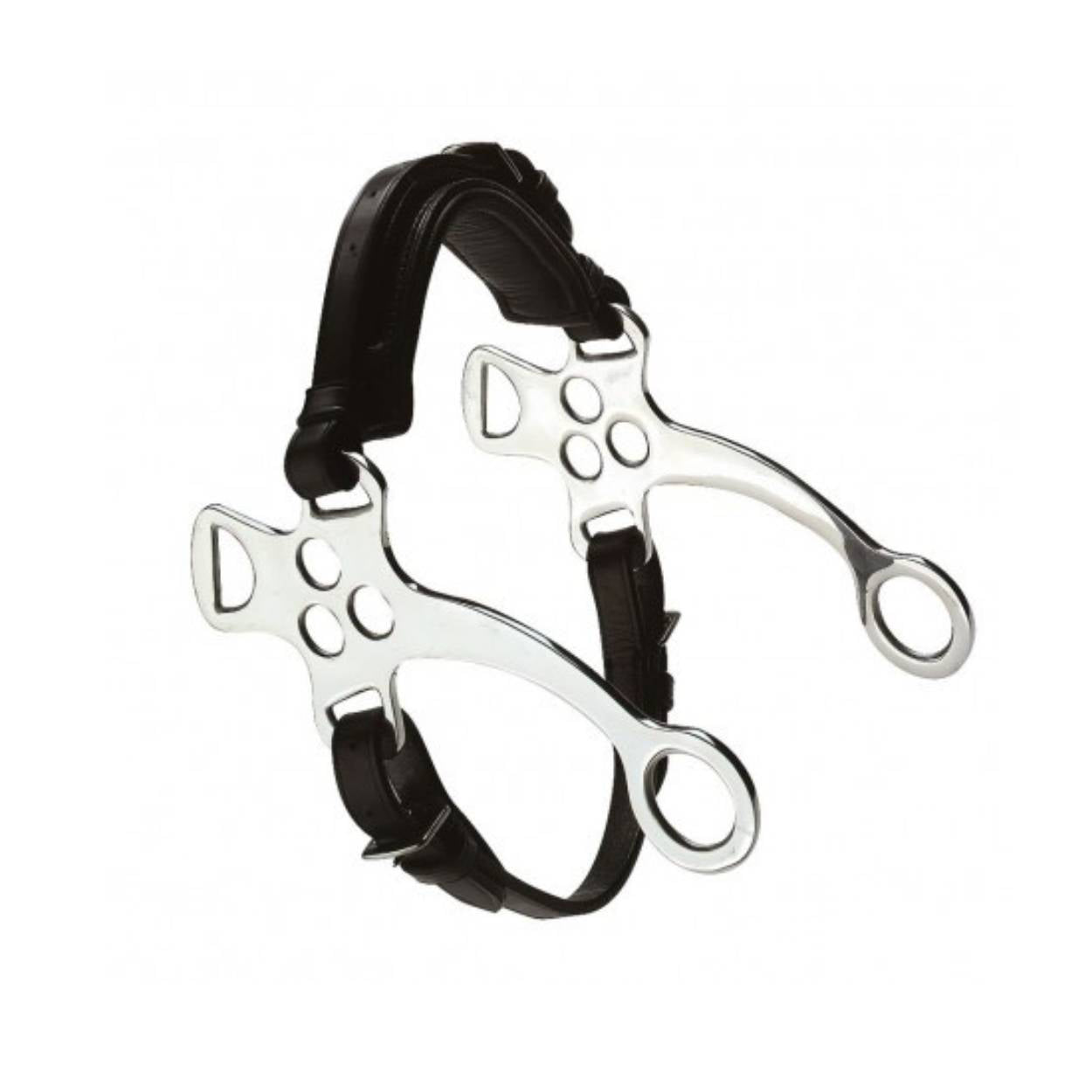 Hackamore