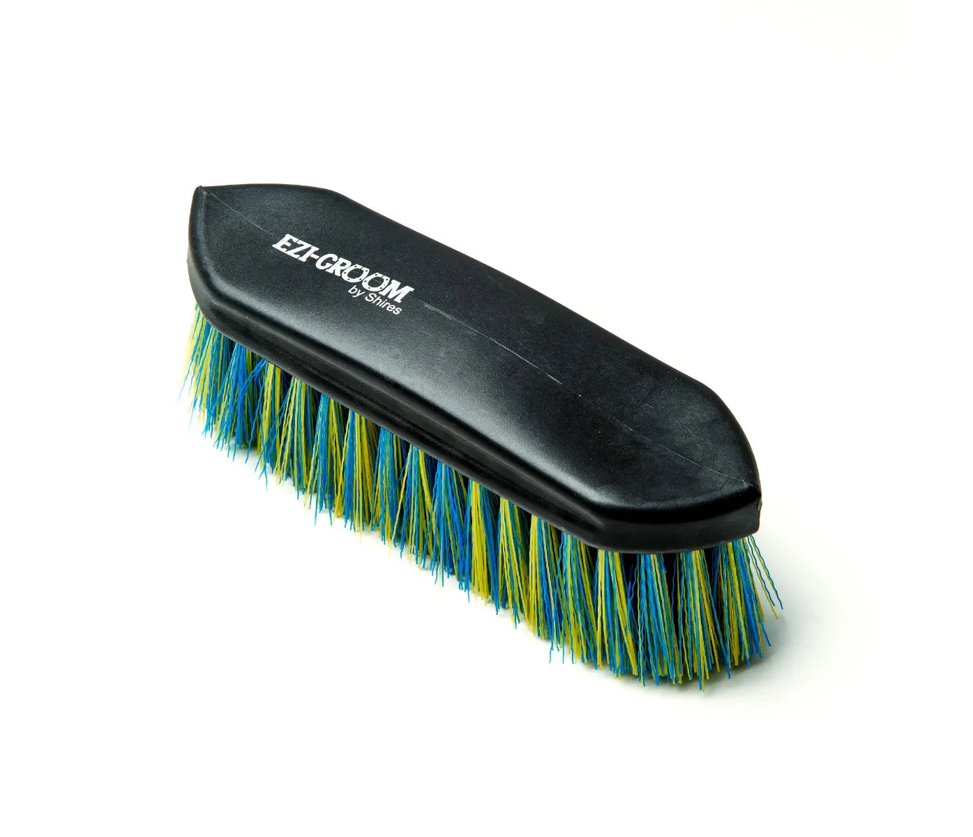 Brusca multicolor