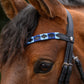 Frontalino Polo Azzurro/blu