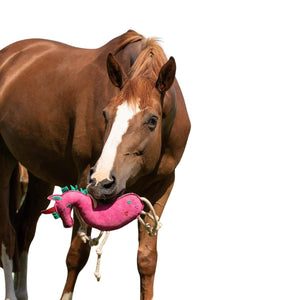 Gioco per cavallo unicorno