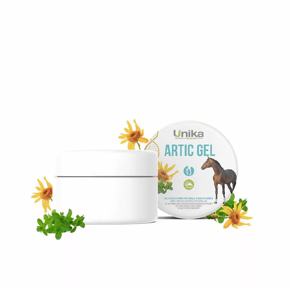 Artic gel, 500g