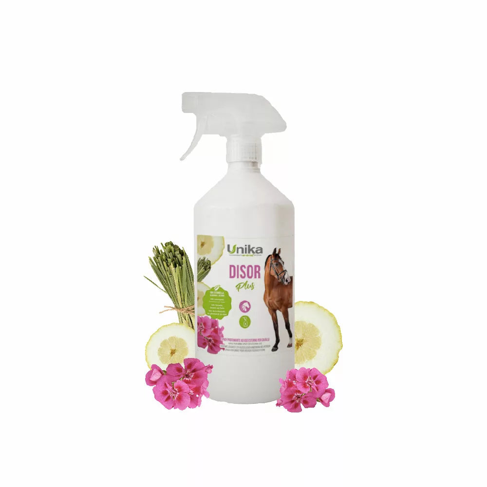 Disor Plus spray anti-insetto, 1L